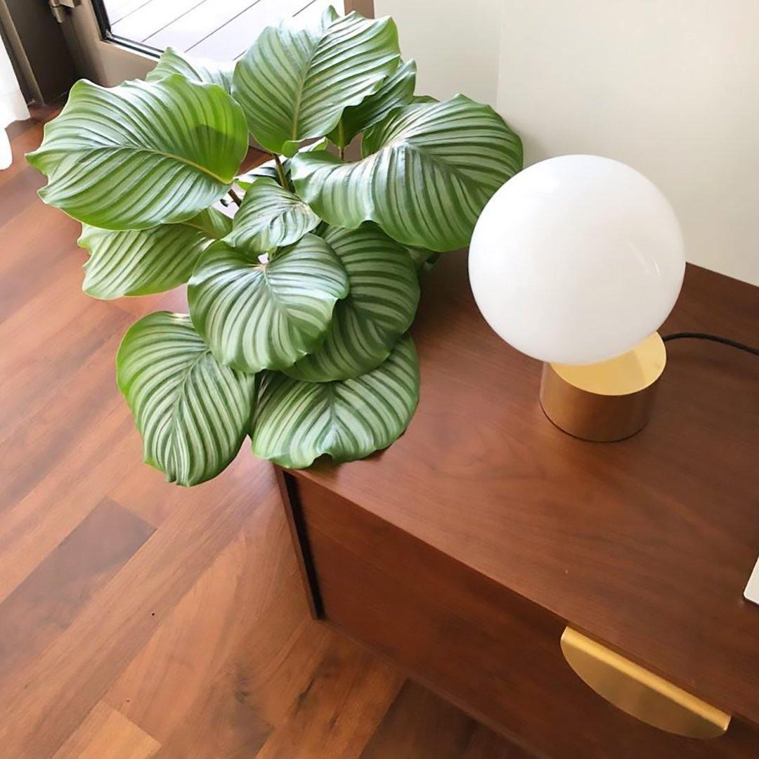 Tip of The Tongue Table Lamp - Cueteks