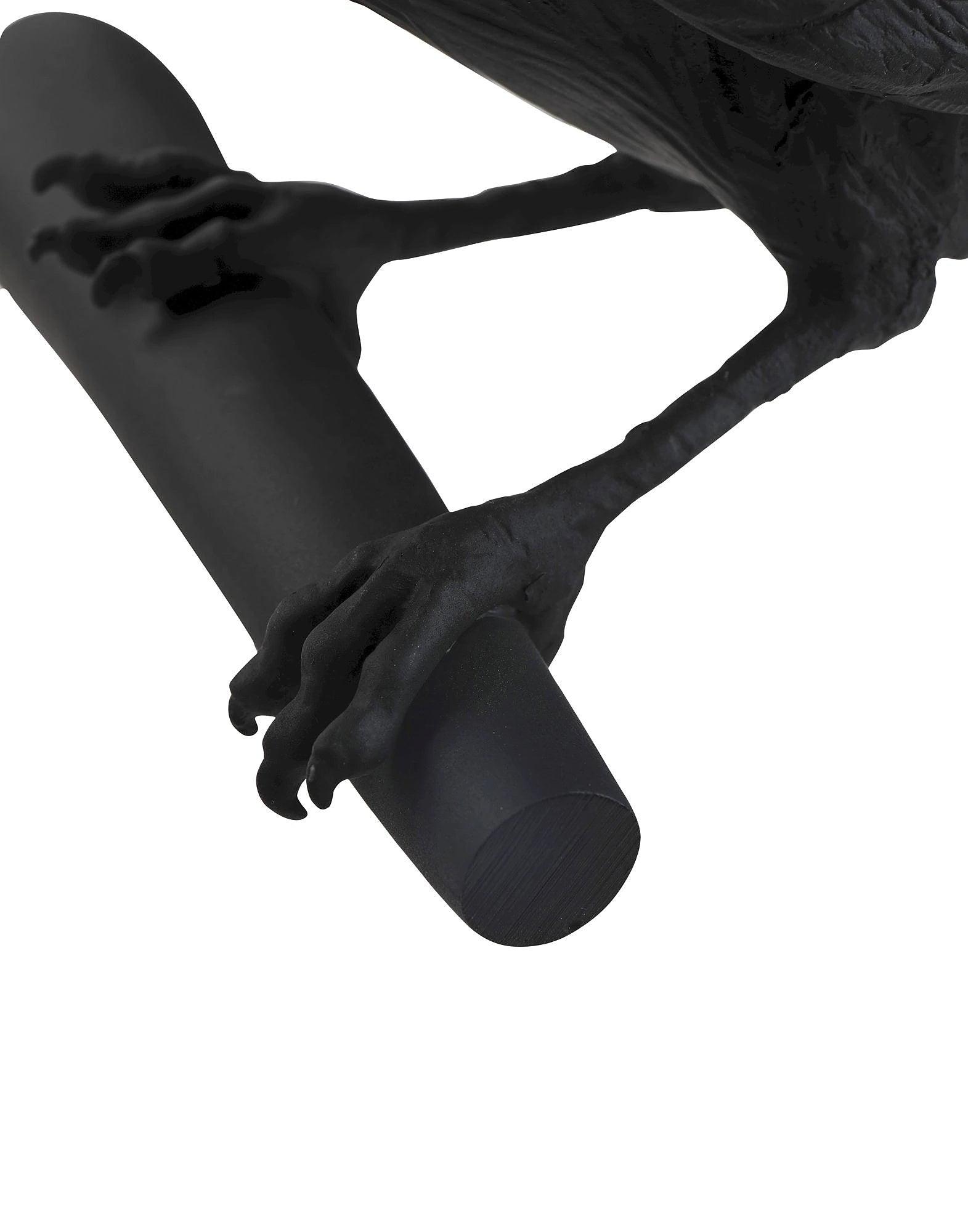 Close view of bird claws gripping the wall perch