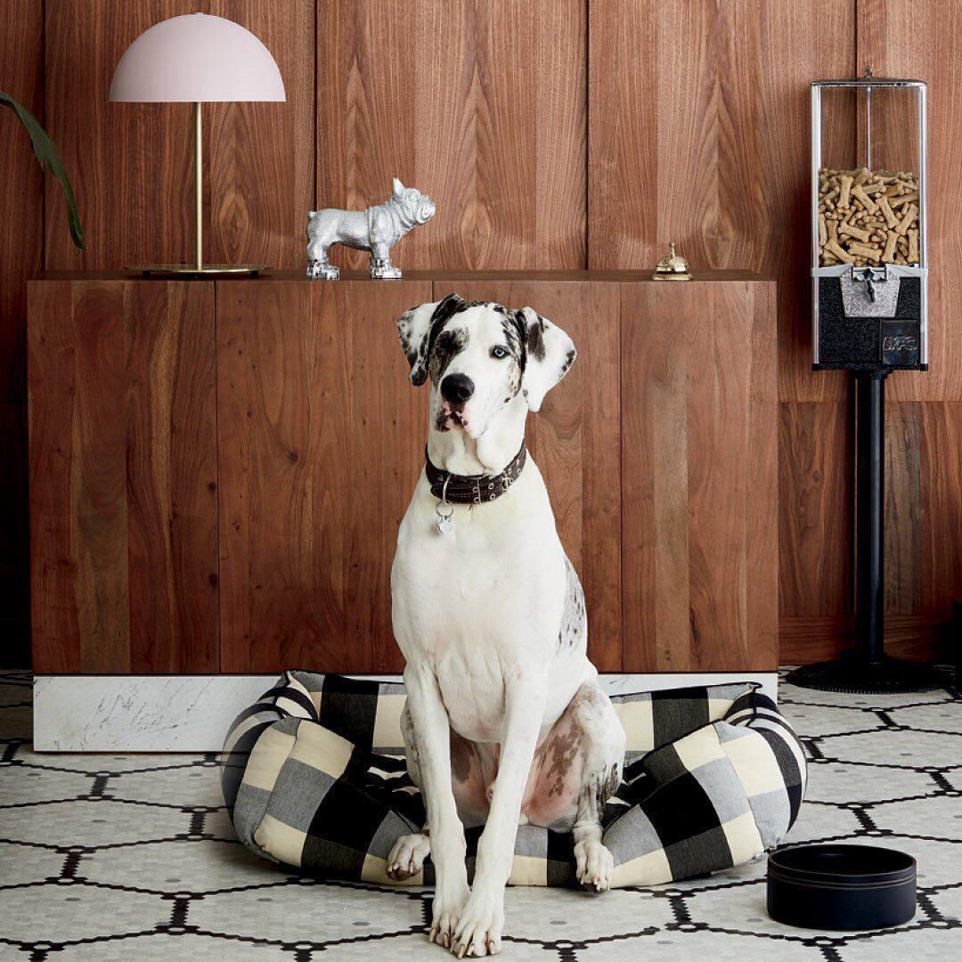 Hanna Table Lamp - Cueteks