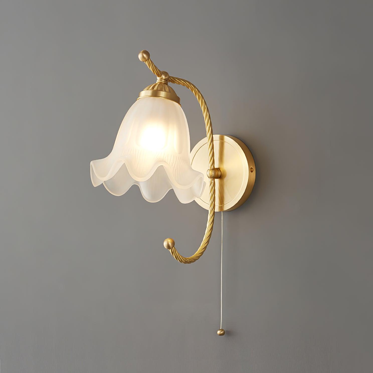 Lit angled brass gooseneck lamp on grey, with glowing opaque glass shade, rope-textured curved arm and hanging pull cord