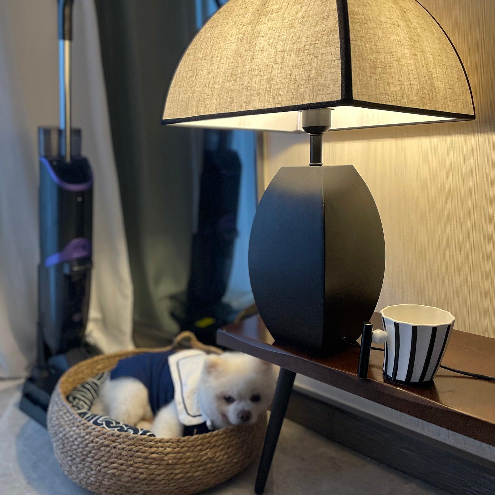 Javier Black Table Lamp - Cueteks