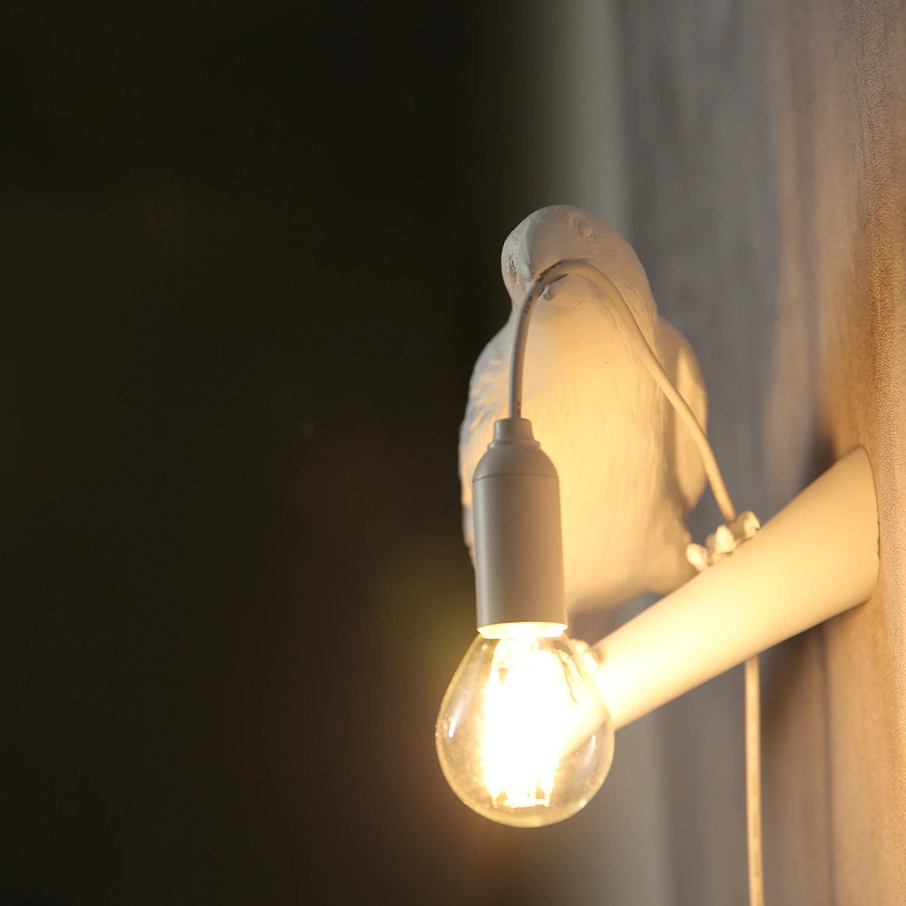 Close view of White bird and hanging bulb