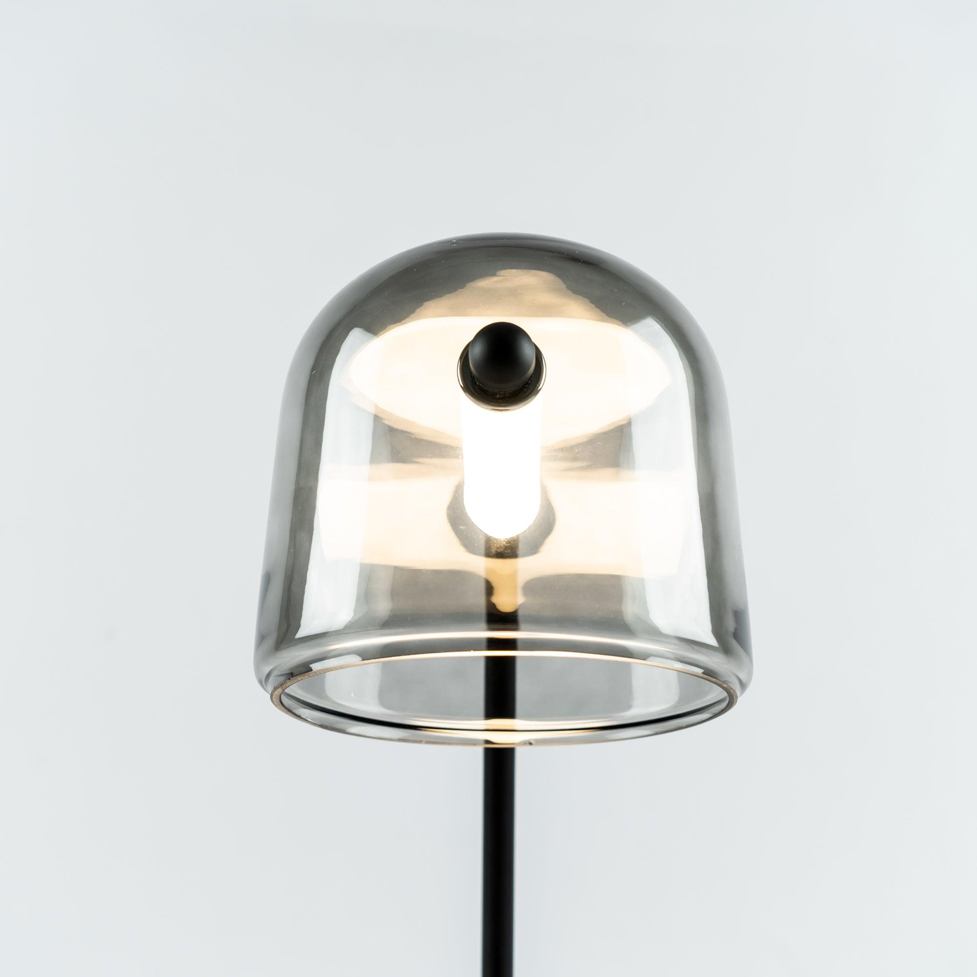 Front detail of Mona illuminated tube inside the glass shade