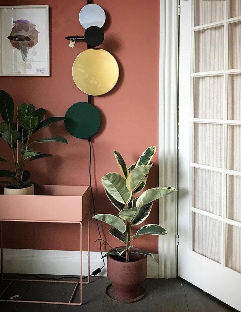 Rearranged discs beside a console and plants
