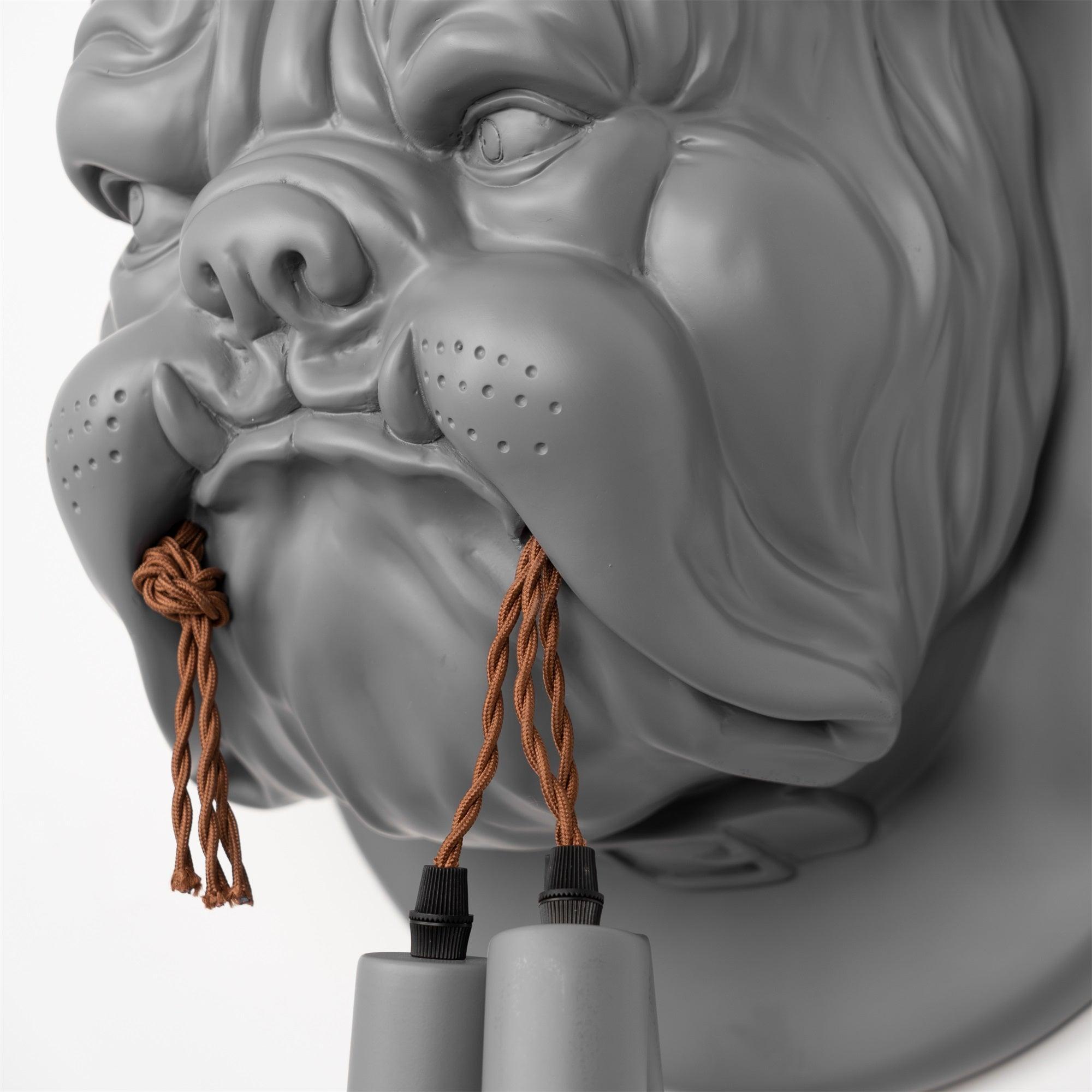 Close view of grey dog face and bulb holders