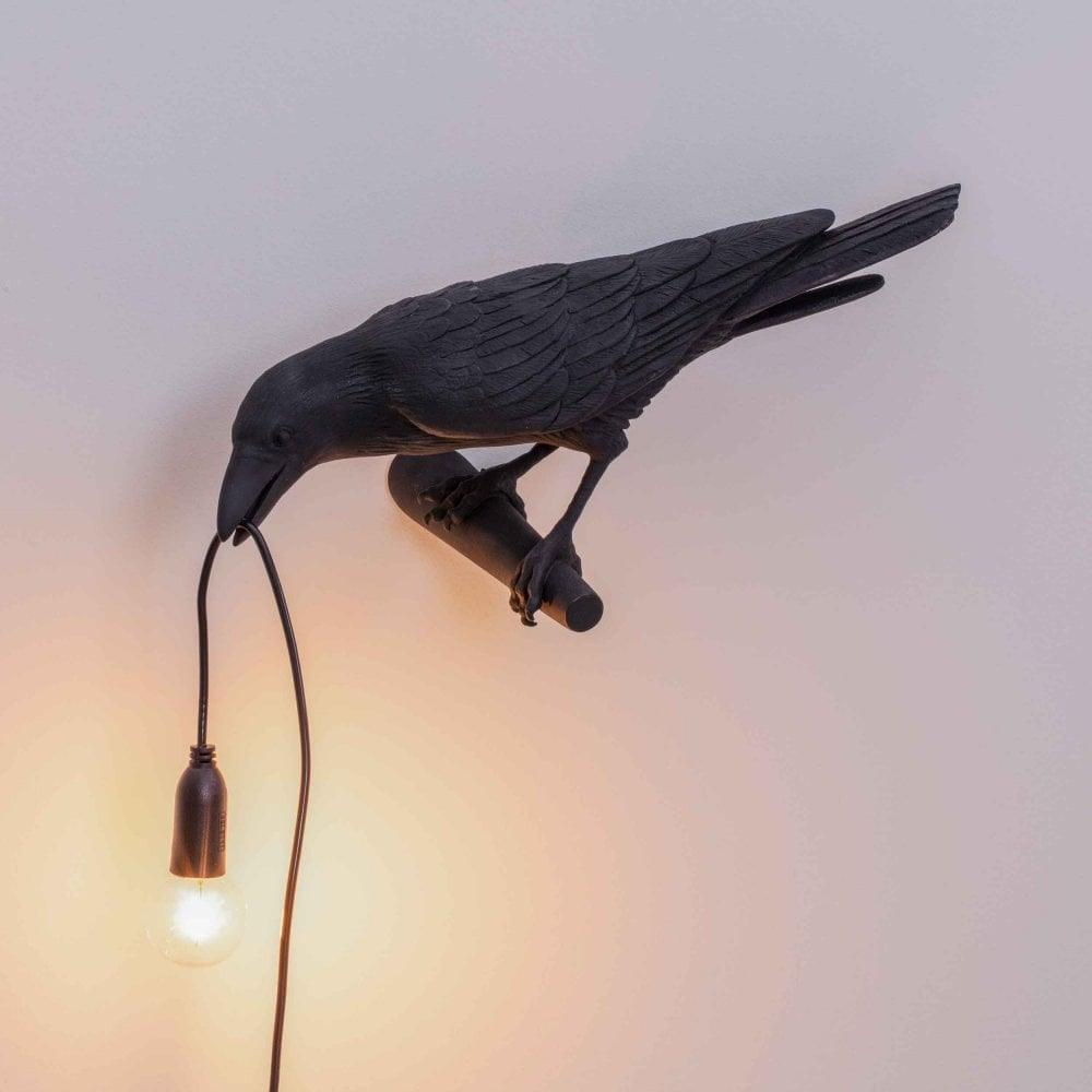 Black bird above a softly glowing bulb