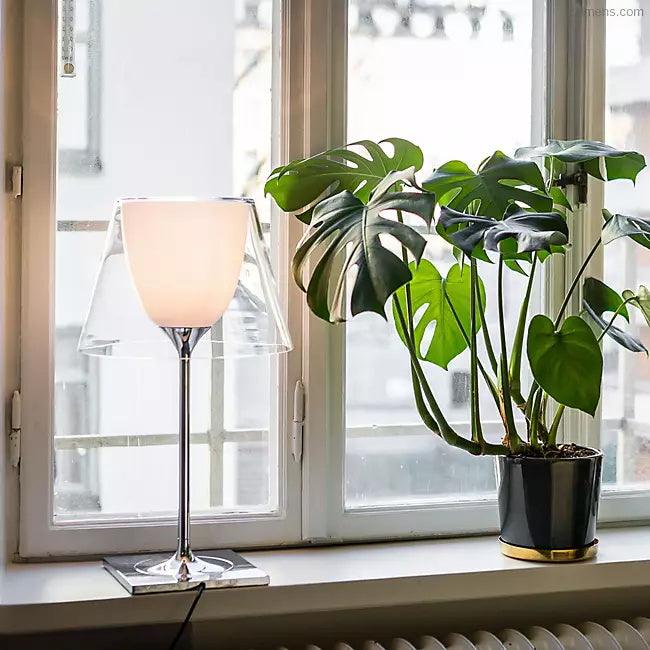 Clear Chrome Prism lamp beside a window and potted plant