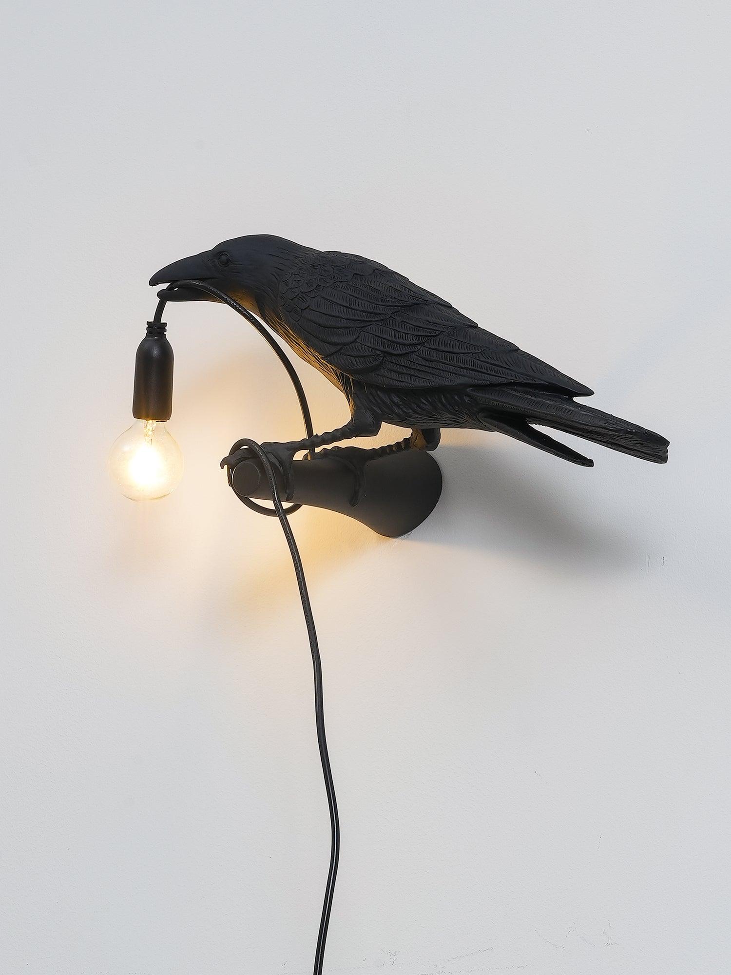 Illuminated Black bird light with long cord