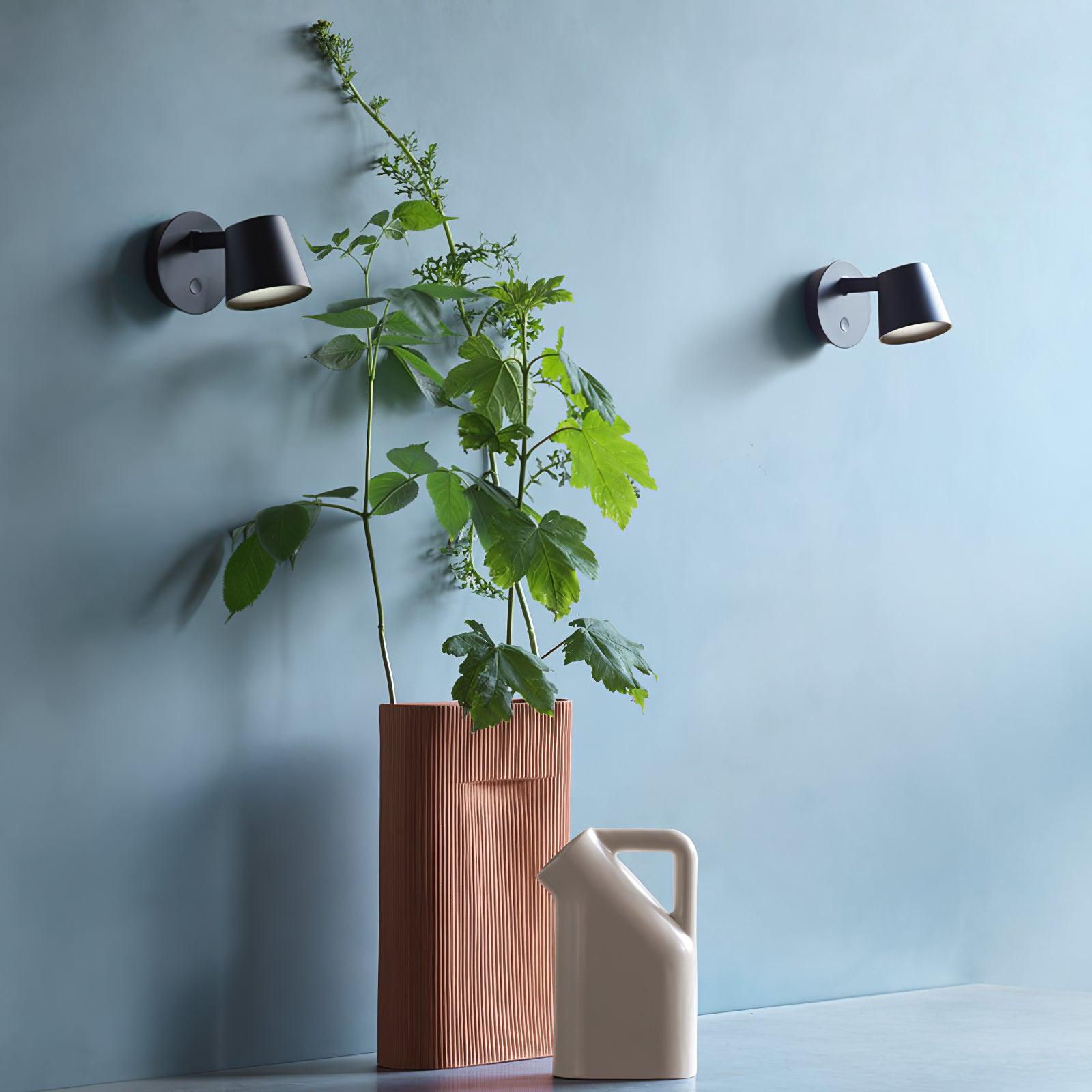 Pair of black Tip wall lights on blue wall around green stems in a ribbed terracotta vase, with a white pitcher below