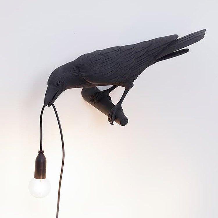 Black bird holding a cord in its beak