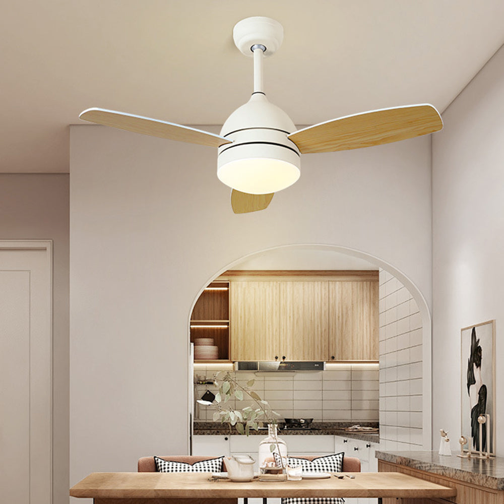Haydn Modern Wood DC Ceiling Fan with Light, Black & White, 2 Color, 42'' - Cueteks