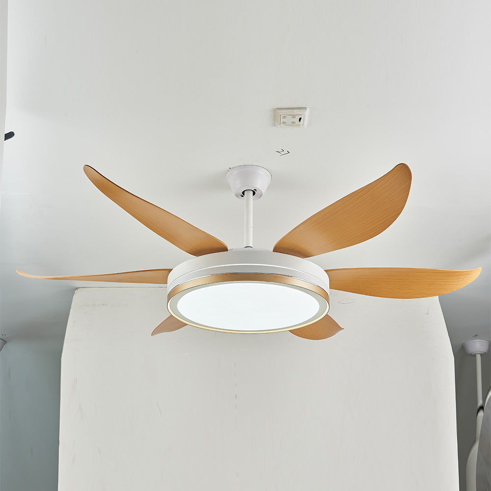 Haydn 6-Blade DC Ceiling Fan with Light, Golden & White, 51''/60'' - Cueteks