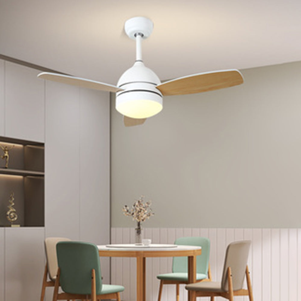Haydn 3-Blade DC Modern Ceiling Fan with Light, Summer, 41'' - Cueteks