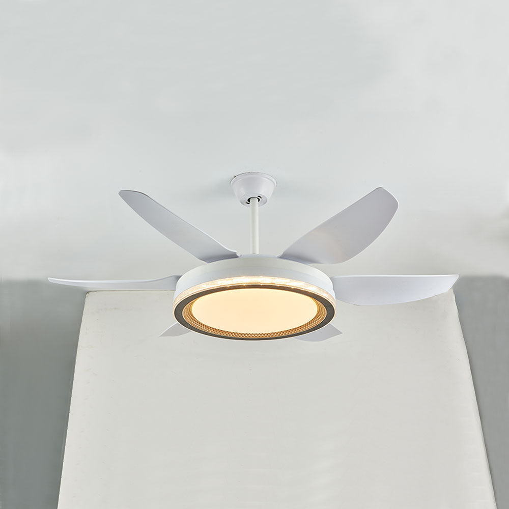 Haydn 6-Blade Modern Basic DC Ceiling Fan with Light, 51'' - Cueteks