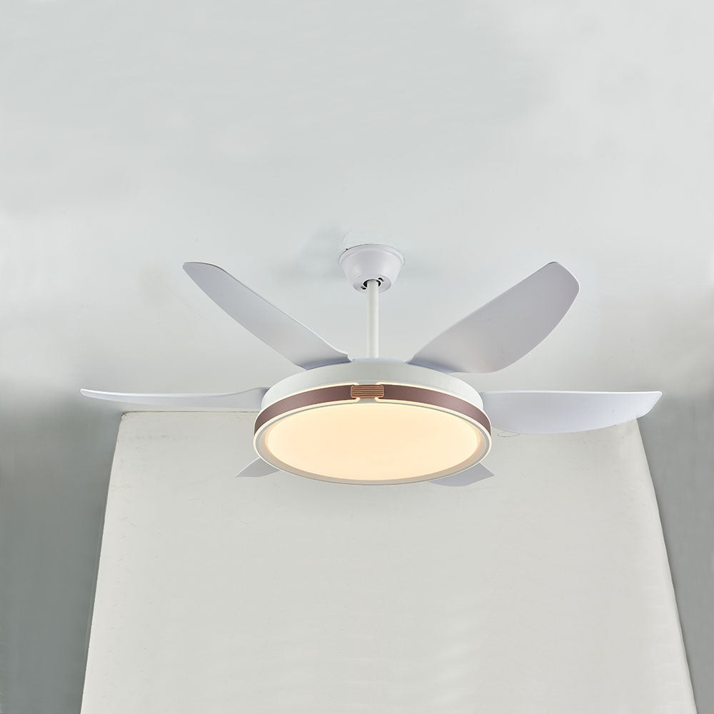 Haydn Modern 6-Blade DC Ceiling Fan with Light, White, 51'' - Cueteks
