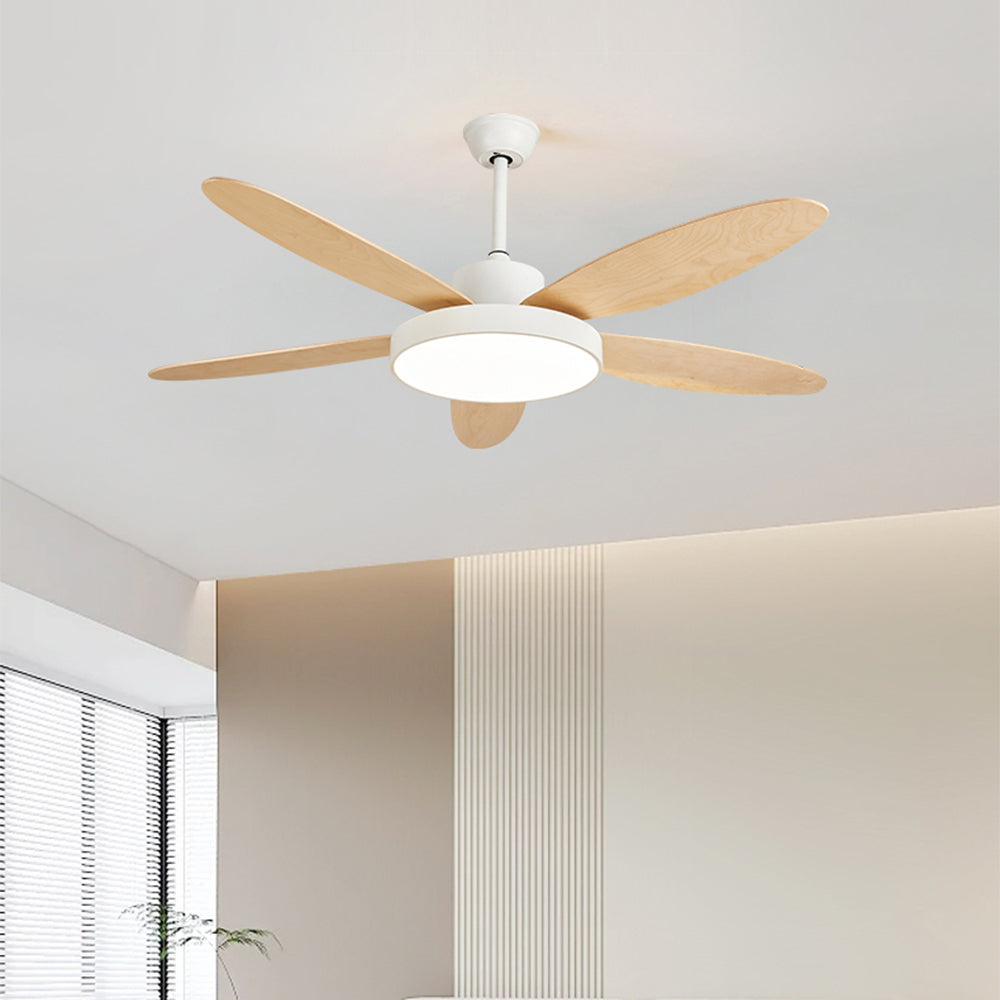 White five-blade Haydn fan with illuminated disc light in a living room