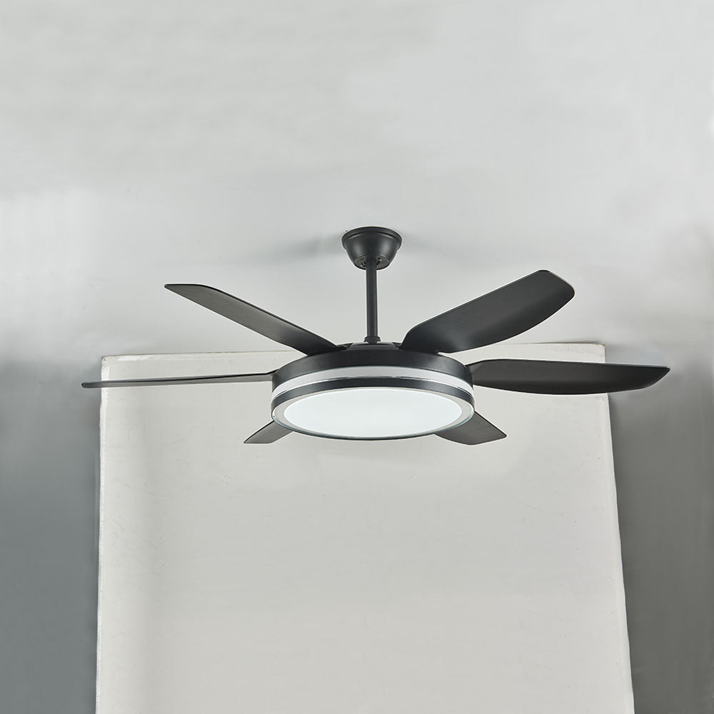 Haydn 6-Blade Modern Basic DC Ceiling Fan with Light, Black & White, 51'' - Cueteks