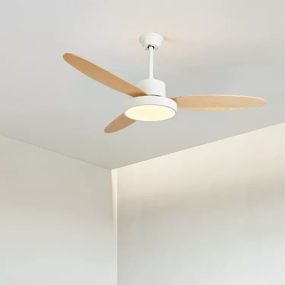 White Haydn three-blade fan light mounted on an indoor ceiling.