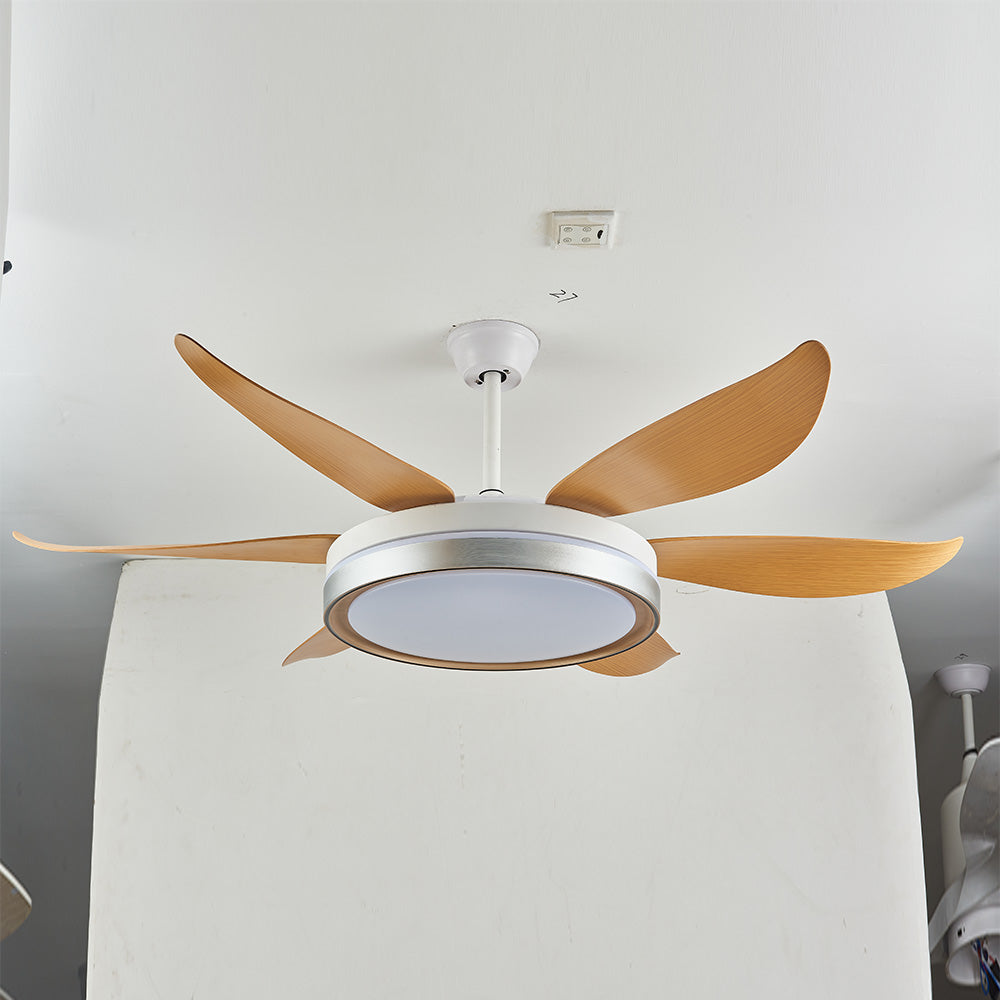 Haydn 6-Blade DC Fan with Light, Silver & Gold, Metal & Acrylic & ABS, Bedroom - Cueteks