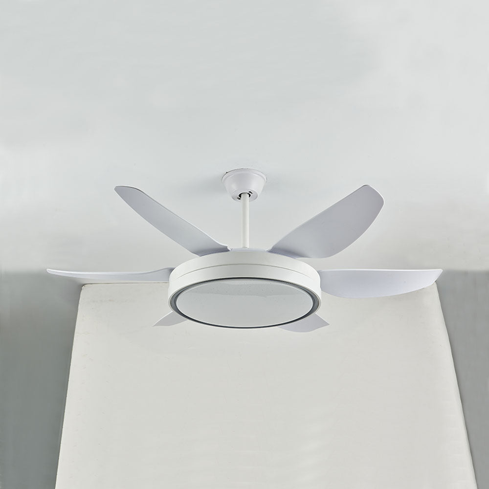 Haydn 6-Blade Modern Basic White DC Ceiling Fan with Light, Summer, 51'' - Cueteks