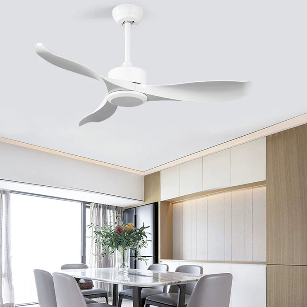 Haydn 3-Blade Modern DC Ceiling Fan, Black & White, 42''/52'' - Cueteks