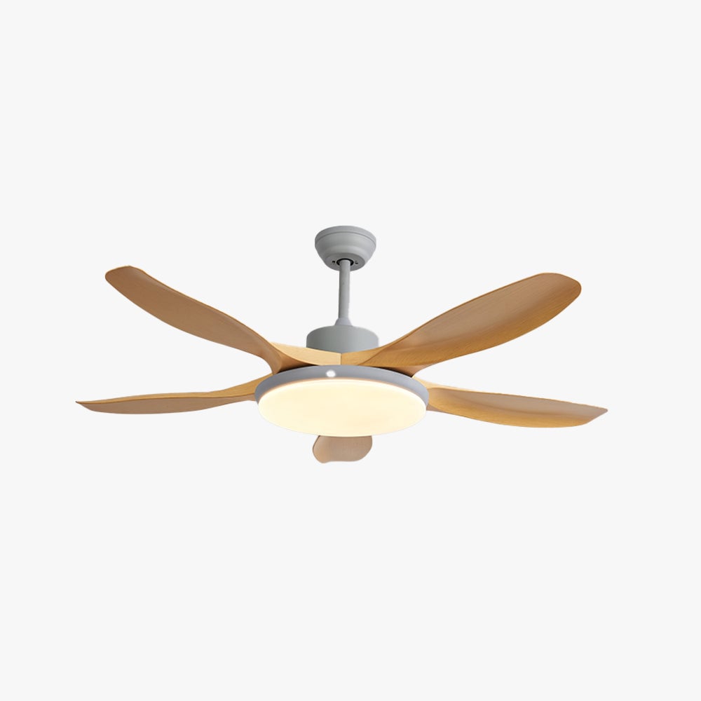 Ventiladores de techo