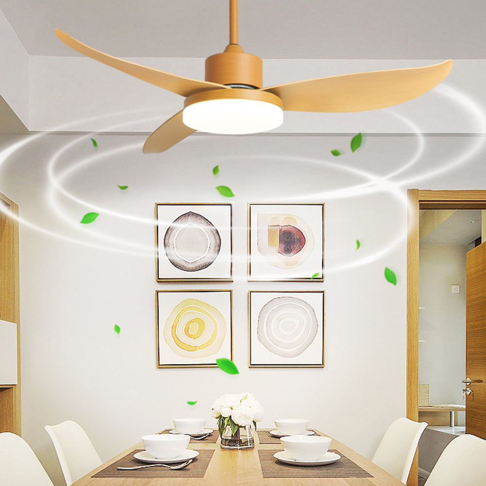 Haydn 3-Blade DC Ceiling Fan with Light, Metal & Acrylic, 37.4''/44.09'' - Cueteks