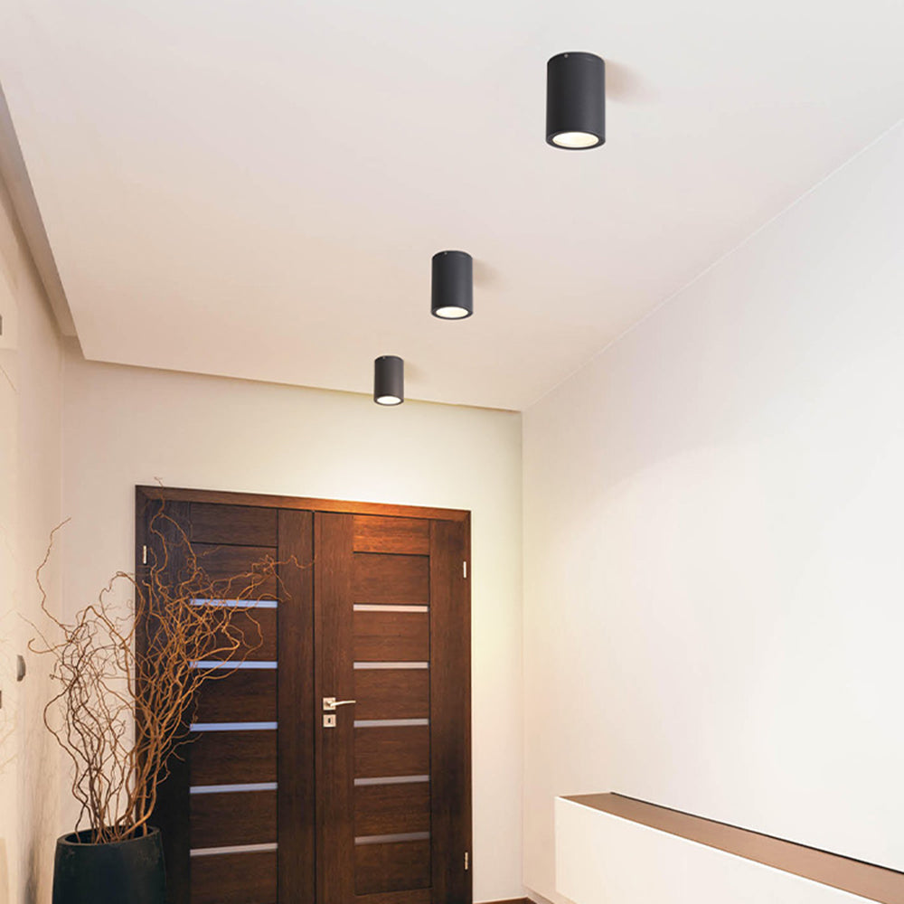 Black Orr cylinders on a pale entry ceiling above timber double doors, near a planter with branches and a pale counter.