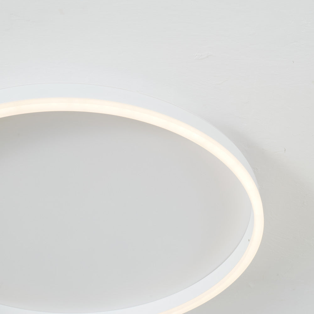 Close-up of the right arc of white Arisha, with a pale outer wall and warm-looking strip below the open center.