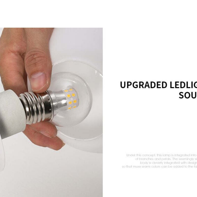 Jevon LED-source picture with a hand holding a clear screw-base bulb beside a globe fitting.