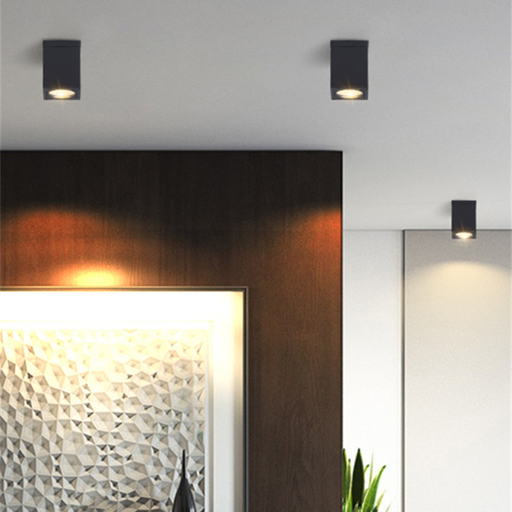 Black Orr square-bodied lights above a dark wood entry surround and geometric-pattern glazed door, near a green plant.