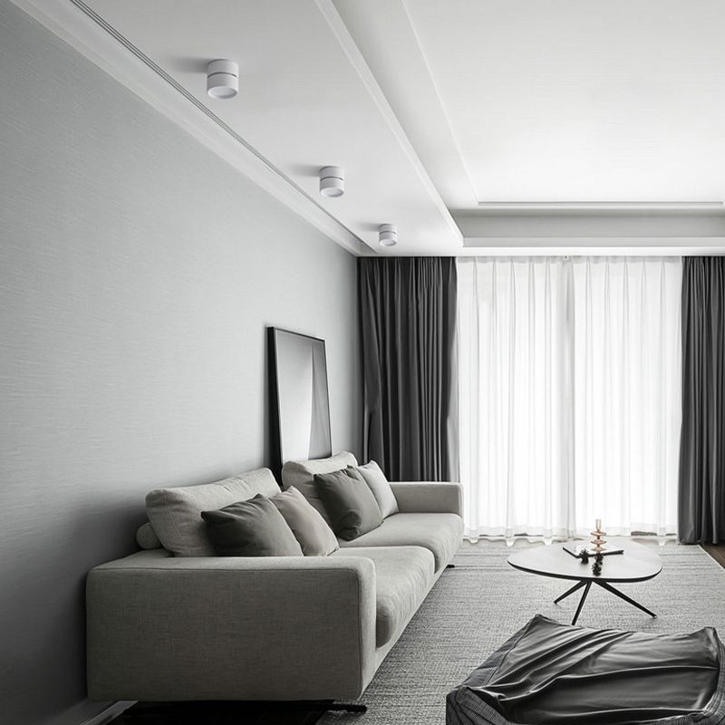 White Novak heads along a soffit above a grey sofa, curtains and leaning mirror, beside a large window.