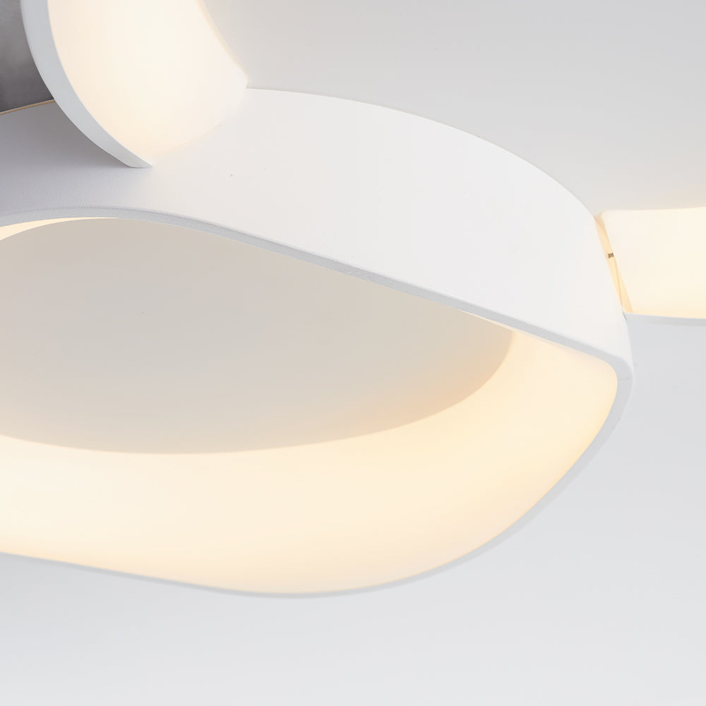 Low-angle Arisha bowl detail showing white outer band, pale centre, luminous inner edge and adjacent connection detail.
