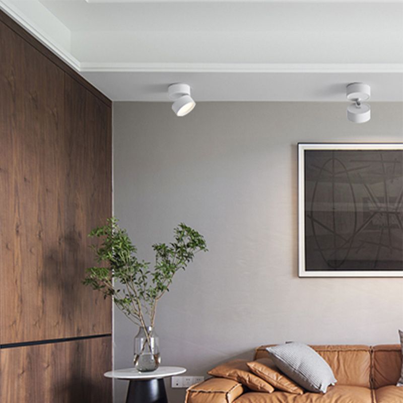 White Novak heads above a brown leather sofa, grey cushions and framed art, near a vase with branches.