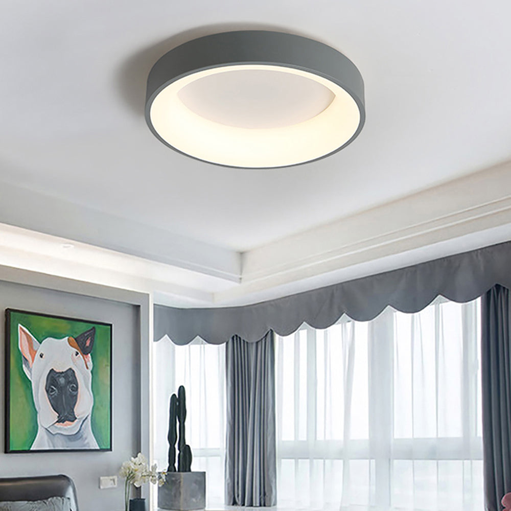 Grey Quinn ceiling light near ceiling cove, above framed dog portrait, tall cactus and grey scalloped curtain valance.
