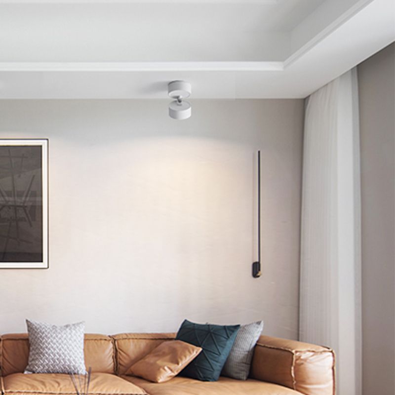 Tilted white Novak head near framed art above a leather sofa, with cushions, curtains and a separate background pendant.