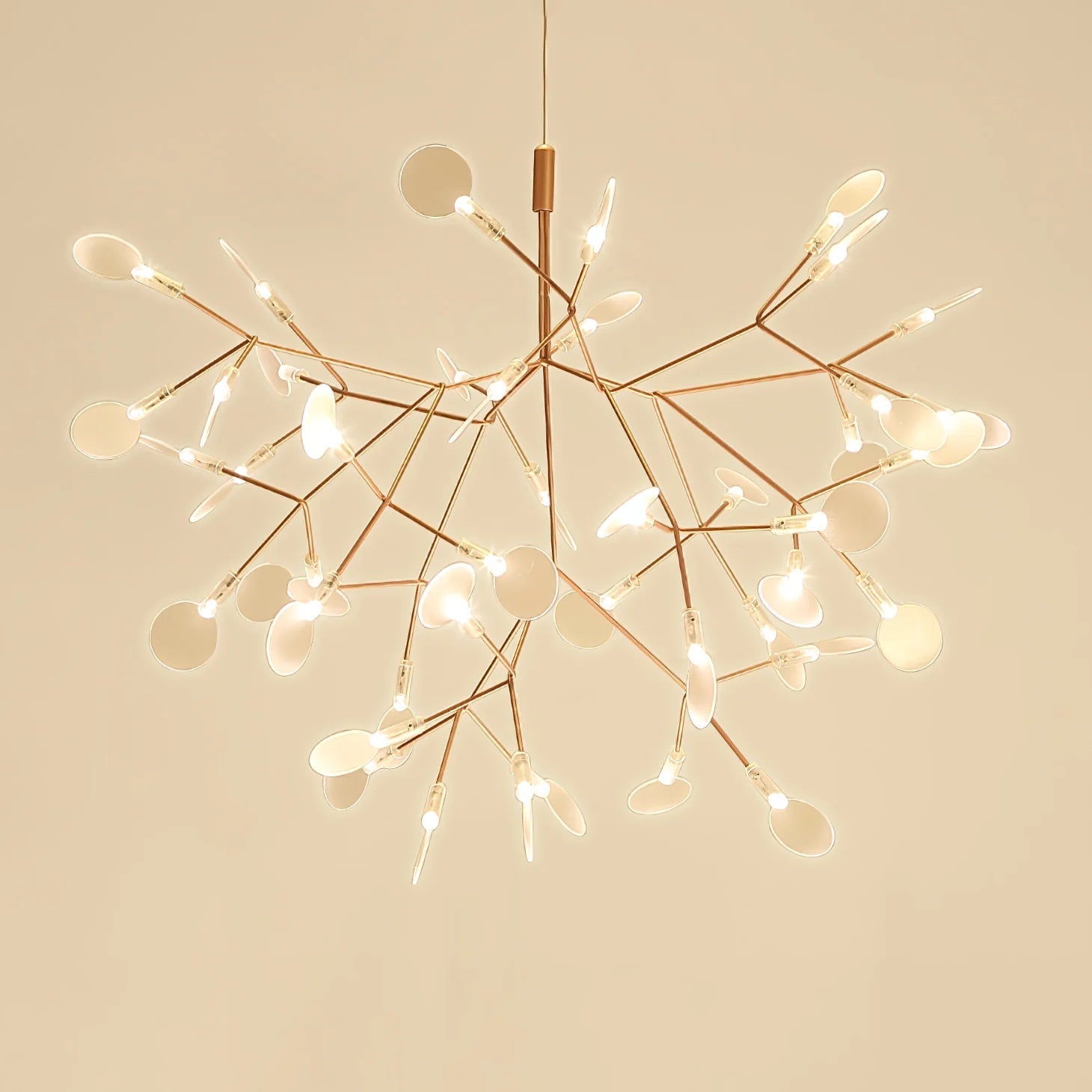 Lit rose-colour branch pattern against a pale wall
