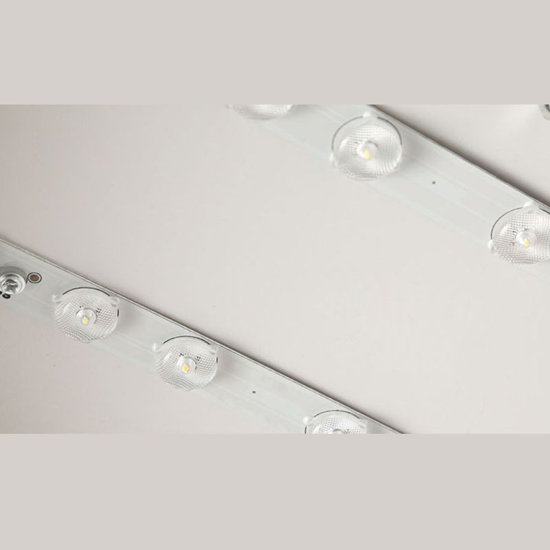 Morandi internal detail showing clear lens-like components on two long strips, wiring and a central fixing on a pale plate.