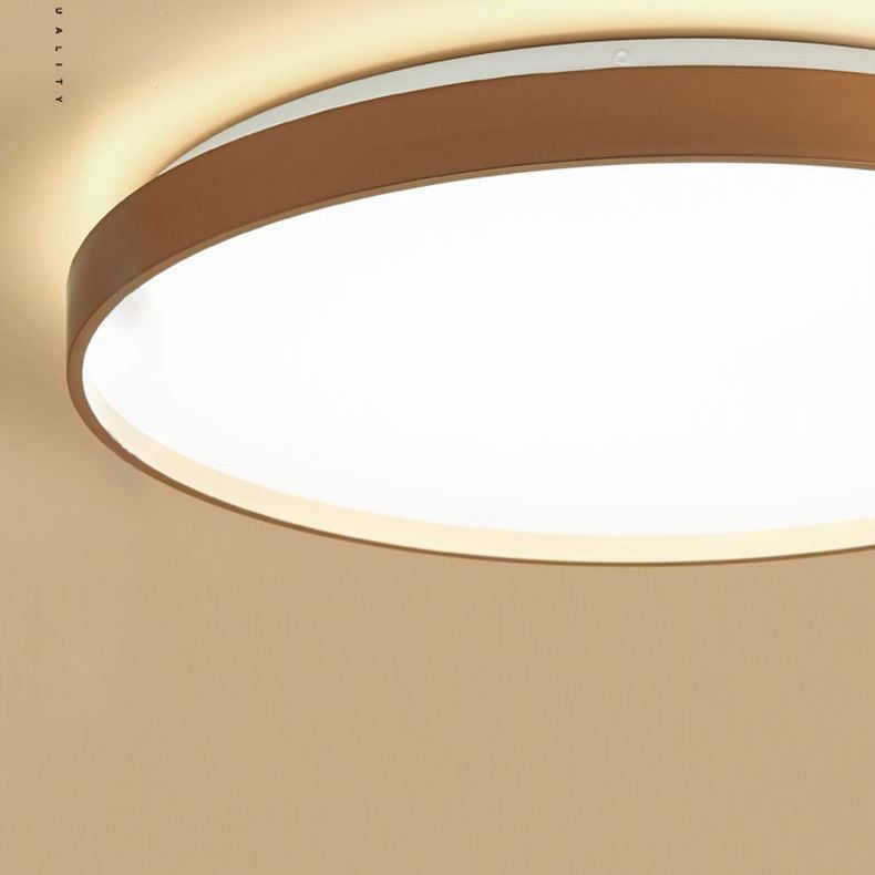 Quinn rim and diffuser detail with a soft glow above the fixture
