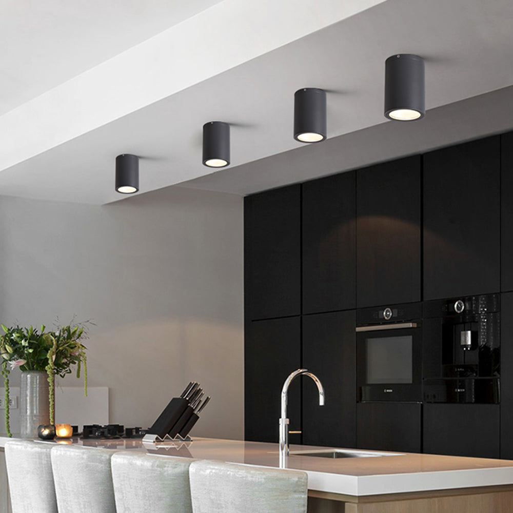 Black Orr cylinders above a kitchen counter and sink near black cabinetry, built-in appliances, stools and vase foliage.