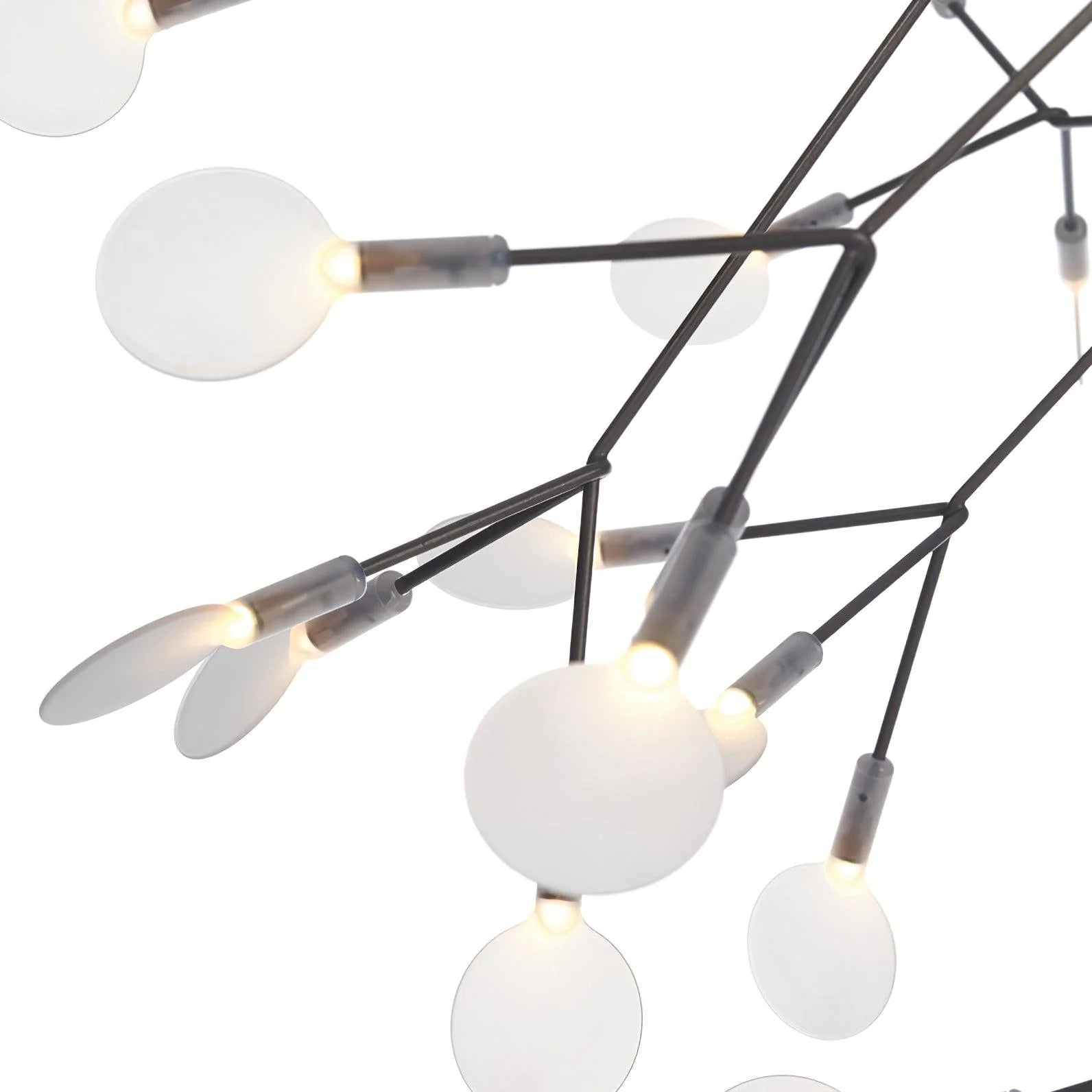 Black branches with small light points and pale oval elements closeup
