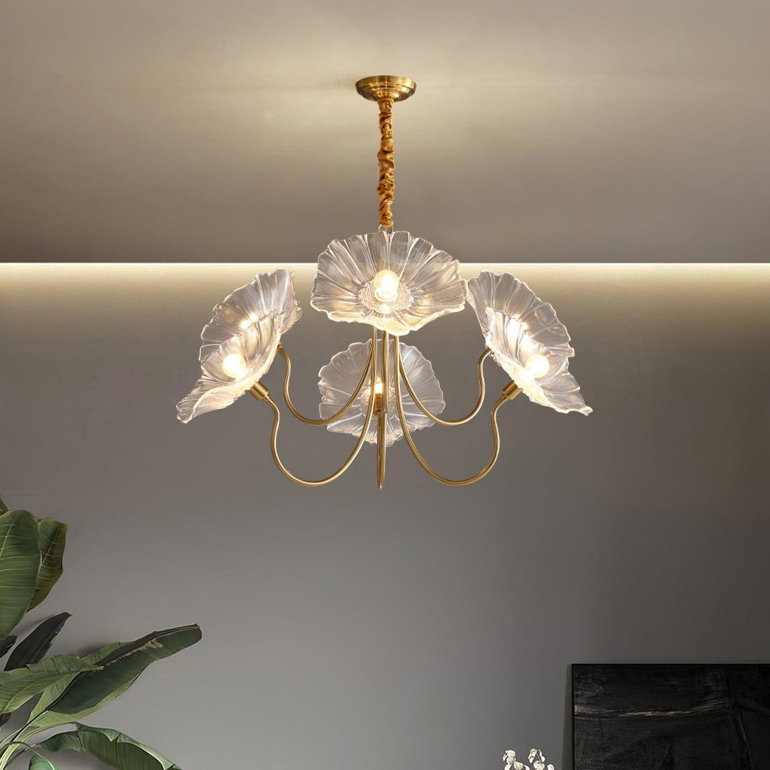 Clear flower chandelier near wall and plant
