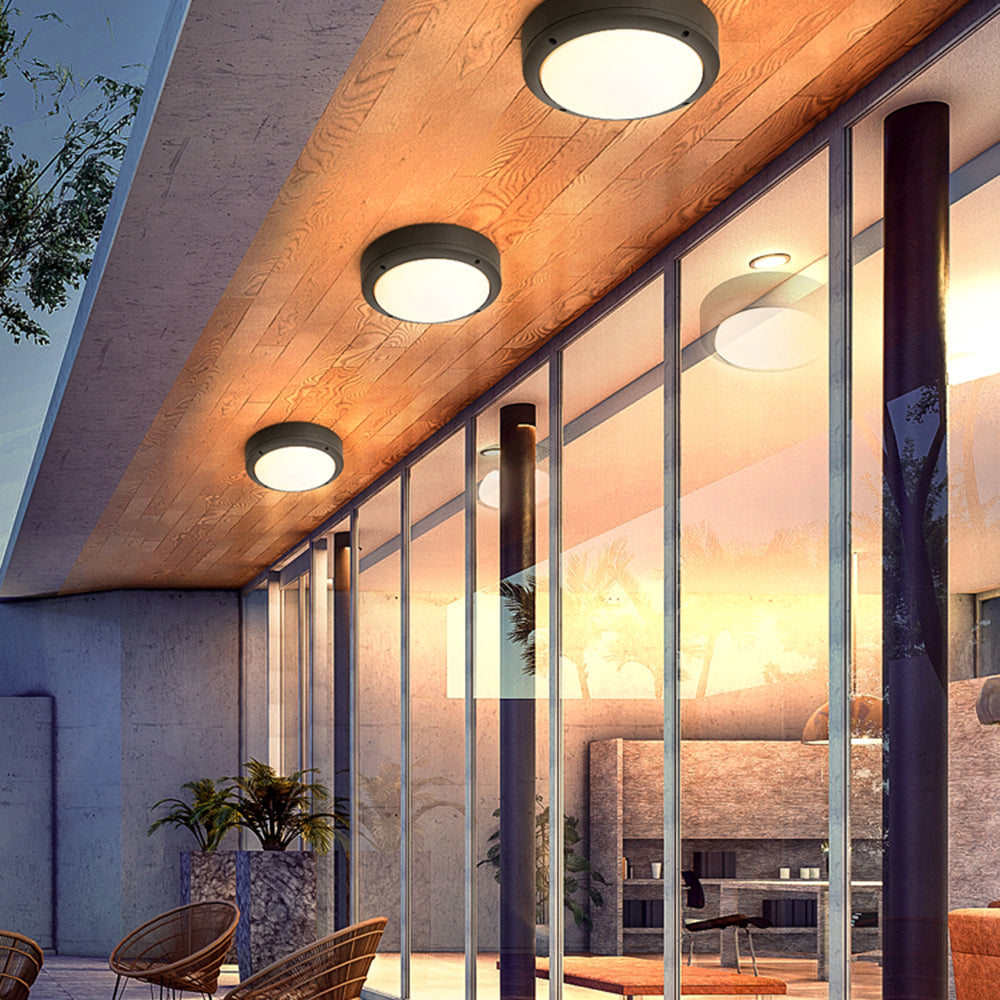Orr Style A flat round ceiling lights beneath timber cladding beside tall glazing, metal posts, a planter and woven chairs.