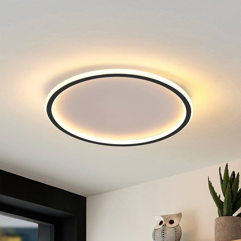 Black-edged LED ceiling ring with warm-looking glow above an owl ornament and a snake plant near a ceiling corner