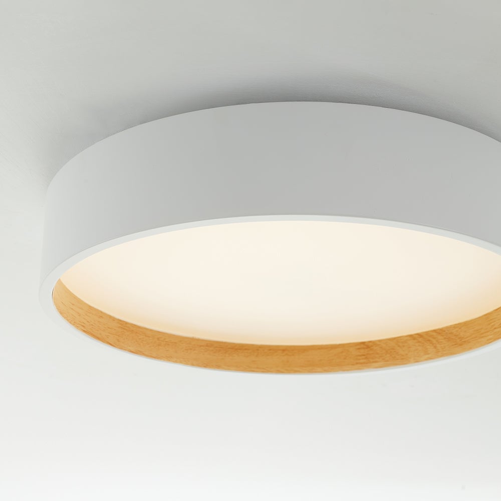 Detail of white Quinn ceiling drum at ceiling, showing luminous circular panel and grain-like light wood-tone inner rim