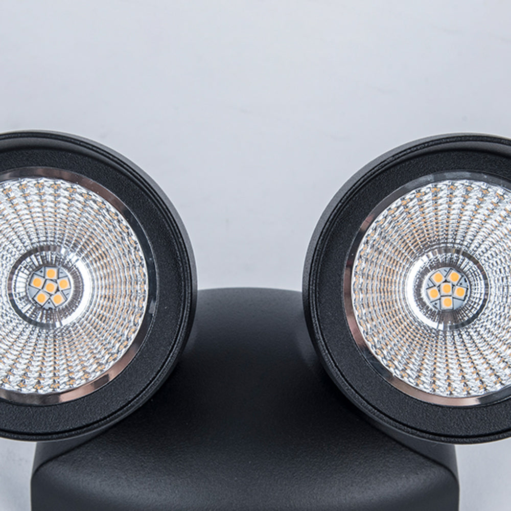 Orr Modern Camera Shape Metal/Acrylic Outdoor Waterproof Wall Lamp Spotlight, Black - Cueteks