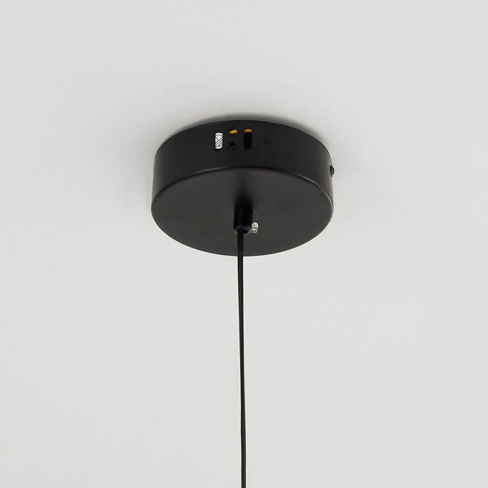 Close-up of the round black ceiling canopy with its hanging wire and side fittings