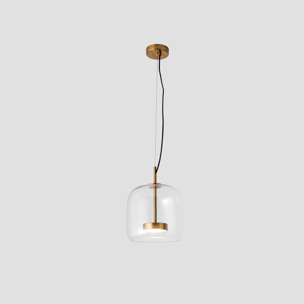 Isolated tall clear Hailie glass pendant with gold-tone inner housing, round canopy and hanging lines
