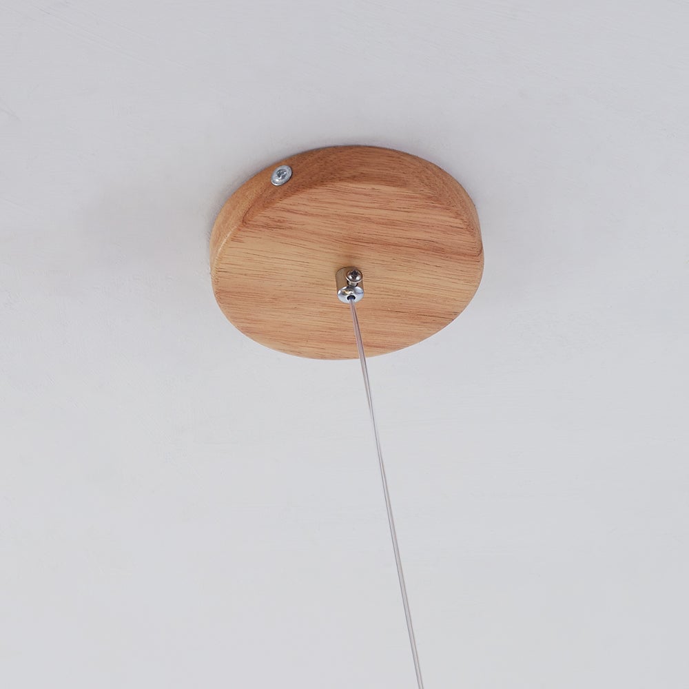 Close-up of a round light wood ceiling canopy, visible screw, metal cable fitting and thin suspension wire