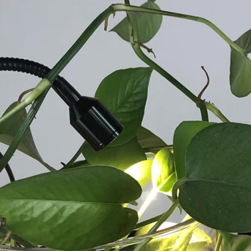 Close-up of Nest greenery beside a black cylindrical component and flexible cable.